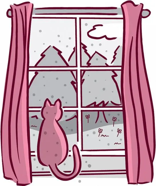 GATO